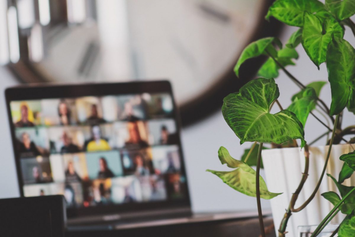 Open laptop on a desk displaying a virtual with a green potted plant in foreground