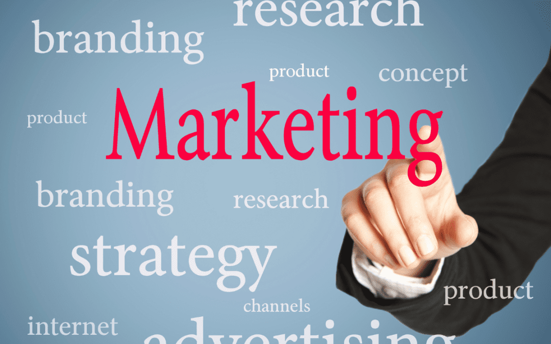 Marketing Agency in Colchester